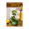 Щипцы кухонные Smart Solutions Synn, 28,5 см, серо-желтые